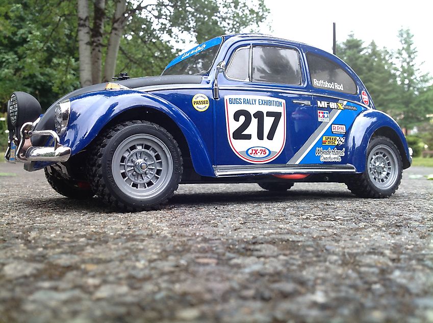 Rally Beetle
